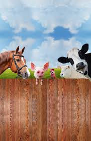 Glen Blevins Family Farm