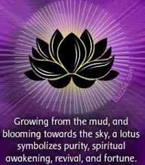 Pin By Sudhakar M Prem On Buddhism Lotus Flower Meaning Lotus Meaning Lotus Flower Tattoo