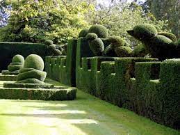 Some kind of hedge clipping guide is needed. Evergreen Hedge Cutter 23 Fresh Design Ideas For Gardeners Interior Design Ideas Ofdesign