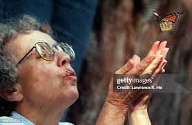 549 Sara Lawrence Stock Photos, High-Res Pictures, and Images