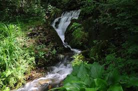 Garrison Spring Ozark Missouri Vacation Locations Family Fun Places Ozark