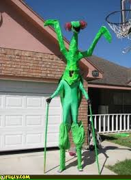 Check spelling or type a new query. Praying Mantis Costume Random Images Fugly