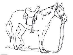 The girl saddled the horse. Pin On Animal Coloring Pages