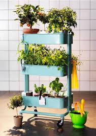City Gardens Best Gardening Products For Small Spaces Curbed Small Space Gardening City Garden Indoor Garden