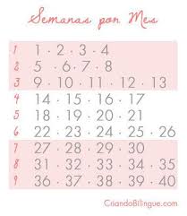 💡 toda la información sobre la semana 37 de embarazo y su equivalencia en meses la semana 37 del … Https Imageserve Babycenter Com 19 000 411 S19rot25yij25ghfibjclpfpzdbcjkor 19 Semanas De Embarazo 25 Semanas De Embarazo Embarazo