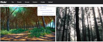 The html code that flickr provides for embedding creative commons images on to other sites satisfies only one of the three guidelines for attribution. Flickr Announces The Ability To Choose Public Domain And Creative Commons 0 License Designations Wordpress Tavern