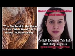 Daniela Rambaldini Trauma Wounding Elephant Series Pt 5