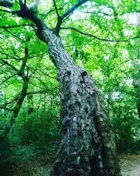 Anne Stack (@stackanne) • Instagram photos and videos