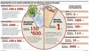 Degradacion En El Medio Ambiente Del Plastico Y Bolsas De Papel Authentic Resources Spanish Green Initiatives Infographic