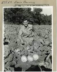 Joseph Harris Of Harris Seeds Rochester Ny In The Cabbage Fields Seed Company Flower Seeds Seeds