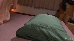 Neighbor Julia [HMN-516]