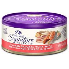 This wellness complete health pate chicken entrée is a good option because it is rich in animal protein and high in both fat and calories. Unbiased Wellness Cat Food Review 2021 All About Cats