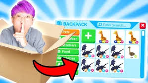 Plz help my channel grow! Watch Roblox With Lankybox S1 E32 Lankybox Gets Free Pets In Adopt Me 2020 Online For Free The Roku Channel Roku