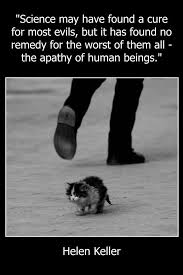 Animal rights big cats brother lion cute animals wildlife. Vegan Veganism Govegan Goveg Animalrights Vegan Quotes Reasons To Be Vegan Animal Activism