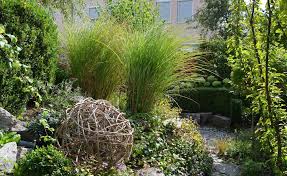 Dekokugeln Aus Clematisranken Flechten So Geht S Clematis Dekokugeln Garten