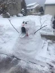 Check spelling or type a new query. 72 Winter Funnies Ideas In 2021 Bones Funny Funny Winter Humor