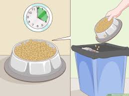 An unopened can of dog food can remain fresh for years when stored in a cool and dry location, but only buy the number of cans that can be used before they reach their best by dates. How To Store Dog Food 8 Steps With Pictures Wikihow