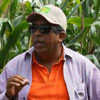 PDF) La repetitividad como estimador de la precisión experimental en el  análisis de experimentos