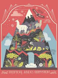 The Andes Mountain Ecosystem Terrarium Art Print Etsy Ecosystems Art Art Prints