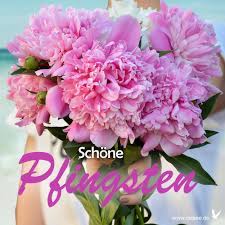 Falls es regnen sollte zu pfingsten, ich sag dir, das stört nicht im gerinsten! Schone Pfingsten Frohe Pfingsten Pfingsten Pfingstgrusse