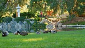 Destinations By Rail Japanese Friendship Gardens Valley Metro