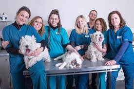 Clinique Vétérinaire Mirabeau