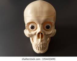 Creepy Scary Skeleton Face On Dark Stock-foto 2222815159