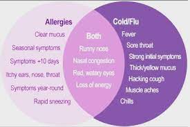 Maybe you would like to learn more about one of these? Is It Allergies Or A Cold Root Stem