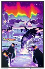 Penguin Arctic Aurora Black Light Poster Black Light Posters Poster Black Light