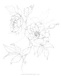 For a beautiful sketch of roses, you need to take a bit of practice but if you try it over and over again, you will have a lot more beautiful sketches of roses all over your house. Flower Drawings Spring 2019 Blushed Design
