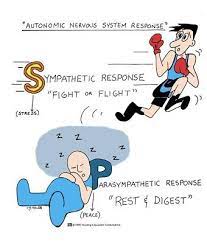 Mnemonics For Nurses Part 1 Nursing Mnemonics Nurse Pediatric Nursing