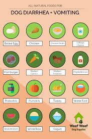 An Easy To Digest Diet Allows Your Dog S Stomach To Rest Easy After Experiencing Dog Diarrhea And Vomiting Try These Si Dog Food Recipes Sick Dog Dog Remedies