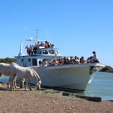 Bateau Le Camargue Croisiere Sur La Mer Et Le Petit Rhone Au Depart Du Port Des Saintes Maries De La Mer Camargue Chevaux De Camargue Sainte Marie