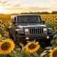 J.E.E.P. Sunflower Drive