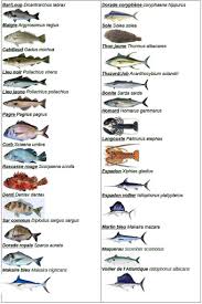Epingle Par Eugenie Kat Sur Fle Les Animaux Poisson Liste Poisson Peche Poisson