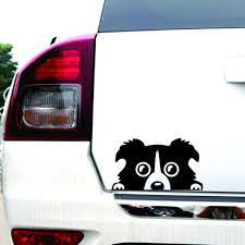 Add some muscle with these oem graphics. 1pc Border Collie Dog Car Sticker Vinyl Cars Decals Auto Car Window Stickers For Sale Online Ebay