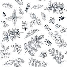 葉 線画 イラスト素材 Istock
