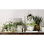 3 Piece White Planter Set Reviews Cb2 Browse a variety of modern furniture, housewares and decor.