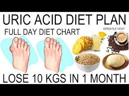 uric acid diet plan diet chart for uric acid patient youtube