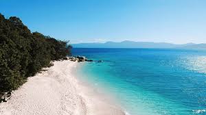 Cairns is the gateway to the great barrier reef marine park, daintree rainforest and cape tribulation in tropical north queensland, australia. Die Top 10 Strande In Der Nahe Von Cairns Australien Backpackers Guide