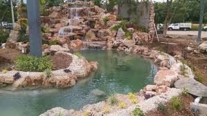 Check spelling or type a new query. Bog Filtration Questions Answered Advice From The Bottom Of The Pond Beyond