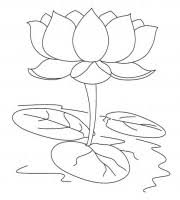 Maybe you would like to learn more about one of these? Top Lotus Coloring Pages For Your Little Ones Coloring Pages