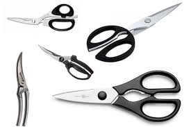 We did not find results for: The Best Kitchen Shears