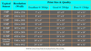 Print Size Chart Megapixel Www Bedowntowndaytona Com