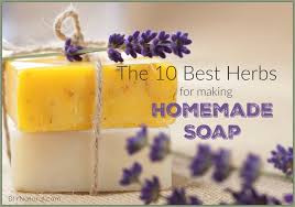 44 natural soap colorants reveal many ways to color your homemade soap naturally, along with ideas for exfoliation, antioxidants, and more! Herbal Soap The Best Herbs To Use In Your Soap Making Recipes