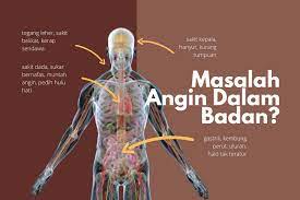 Lemah syahwat (dan pelbagai masalah berkaitannya) dada sakit kiri dan kanan. Masaalah Angin Urutan Buang Angin Meor Hassan Alor Setar Facebook