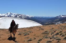 La nostra esperienza e la nostra voglia di esplorare, ci proprio al confine con questo stato, si trovano i due spettacolari vulcani, quasi gemelli parinacota e pomerate. Argentina Cile Home La Grande Traversata Il Mondo A Cavallo