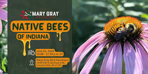 Indiana's Native Bees Hike at Mary Gray