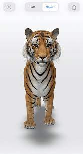 Teaching Resources Google S 3d Animals California Casualty