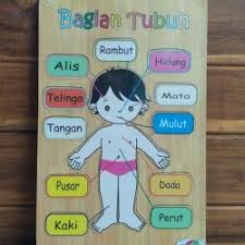 Lagunya menarik, asyik, dan menyenangkan. Alat Peraga Edukasi Puzzle Anatomi Tubuh Madaniah